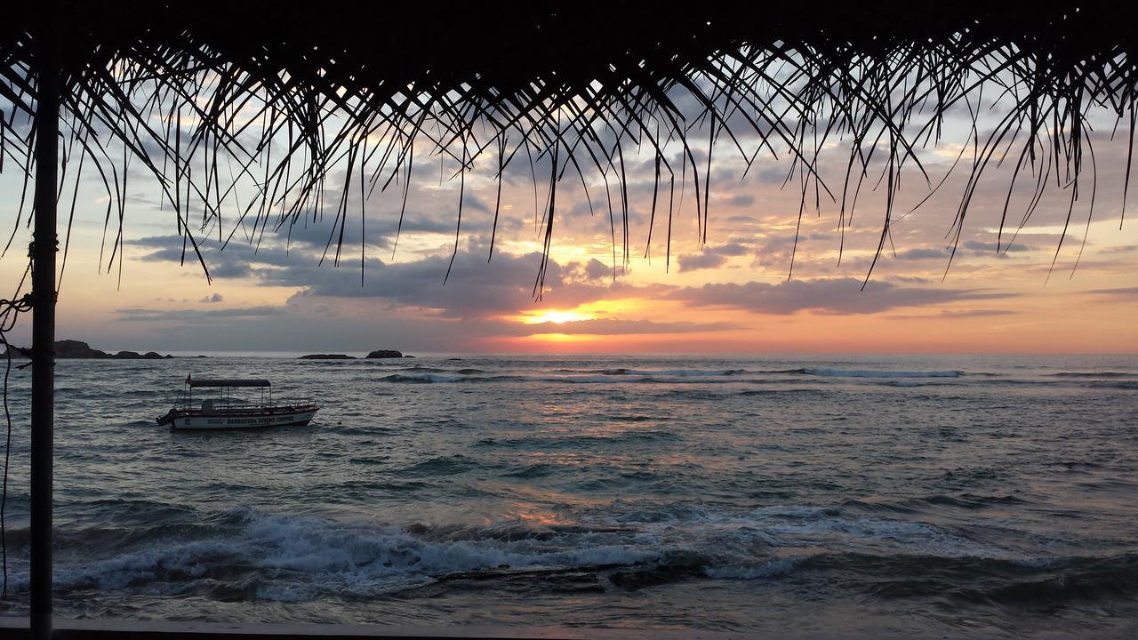 Coral Seas Beach Hikkaduwa Exteriér fotografie